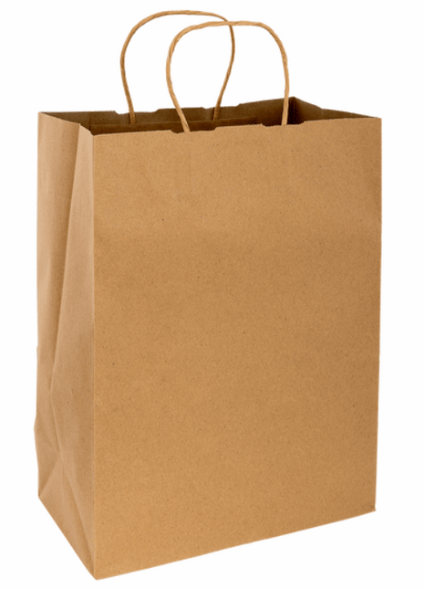 Kraft Paper Shopping Bag with Twisted Handle – Brown 10" x 5" x 13"(250/Case) - Arcapack