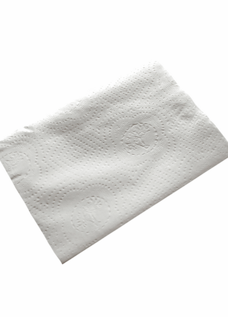 Dispenser Napkin 2-Ply – 16.5x22.35 cm White (300/Pack, 20 Packs/Case) - Arcapack